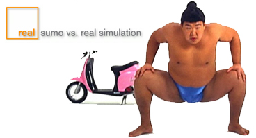 Sumo vs. Simulation